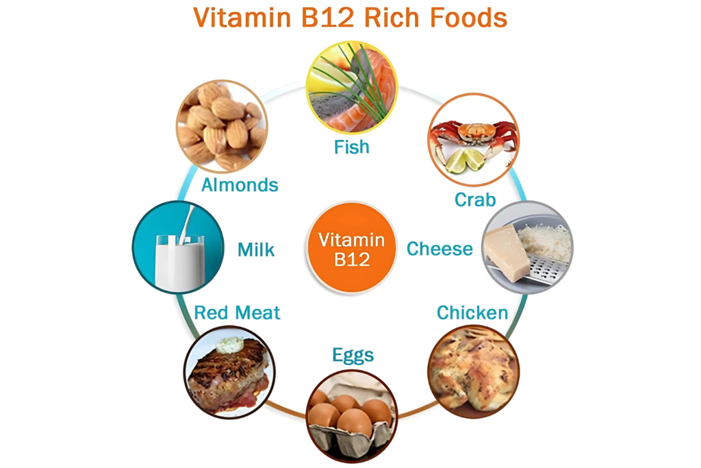Vitamin B12 Foods – Complete Diet Plan Chart