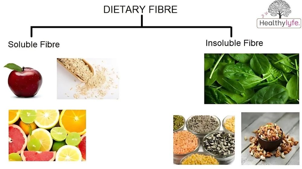 The Power of Dietary Fiber in the Body: Benefits and Tips