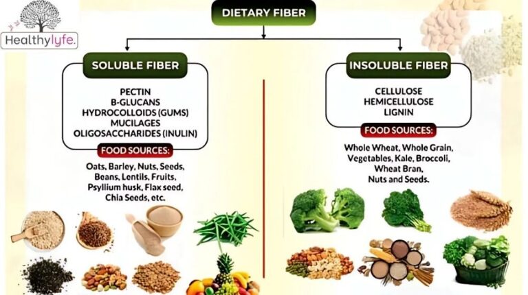 The Power of Dietary Fiber in the Body: Benefits and Tips