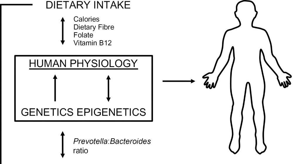 The Role of Nutrition in a Fitness Journey: Key to Success