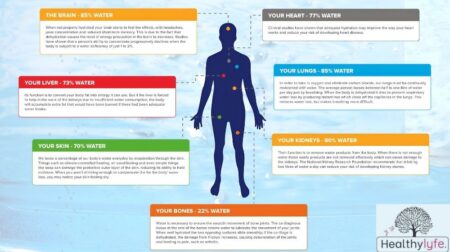 Water and Wellness: The Vital Role of Water in Human Health