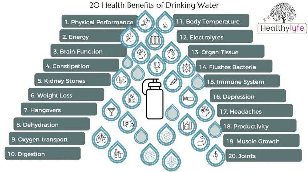 Water and Wellness: The Vital Role of Water in Human Health