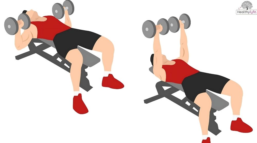 Dumbbell Row: A Beneficial Exercise for Back and Upper Body