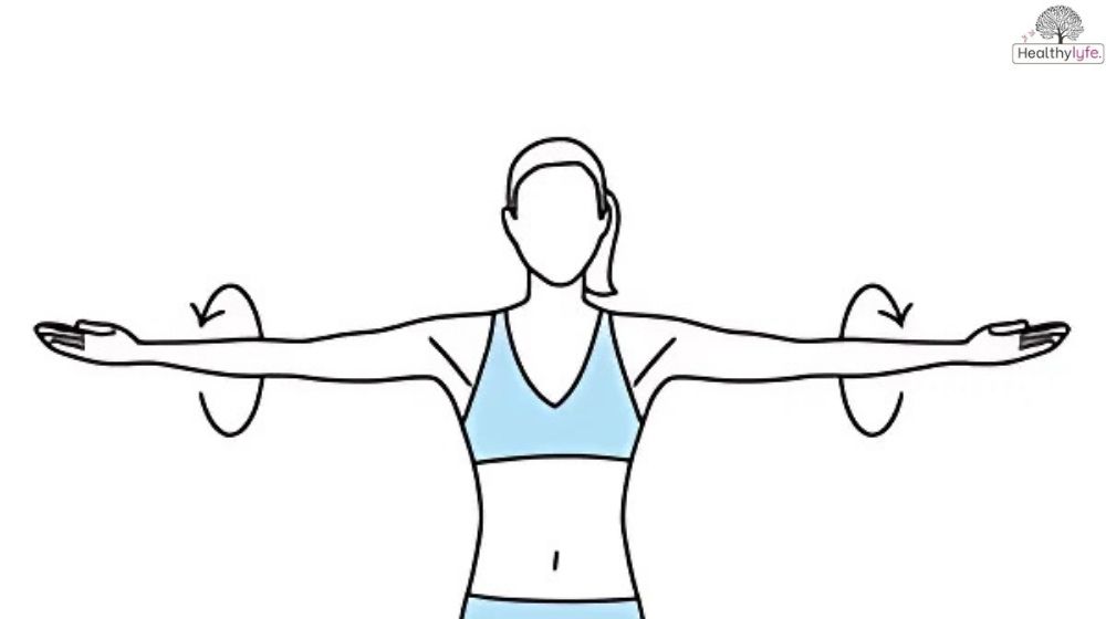 Cactus Arms: One of the Best Exercises for Upper Body