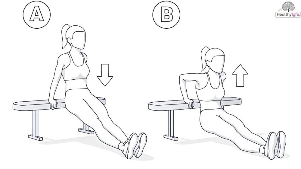 Dips Plus: The Lower Chest Body Exercise