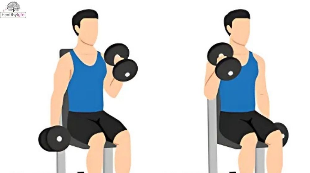 Hammer Curl: Best Exercise for Muscles and Arms