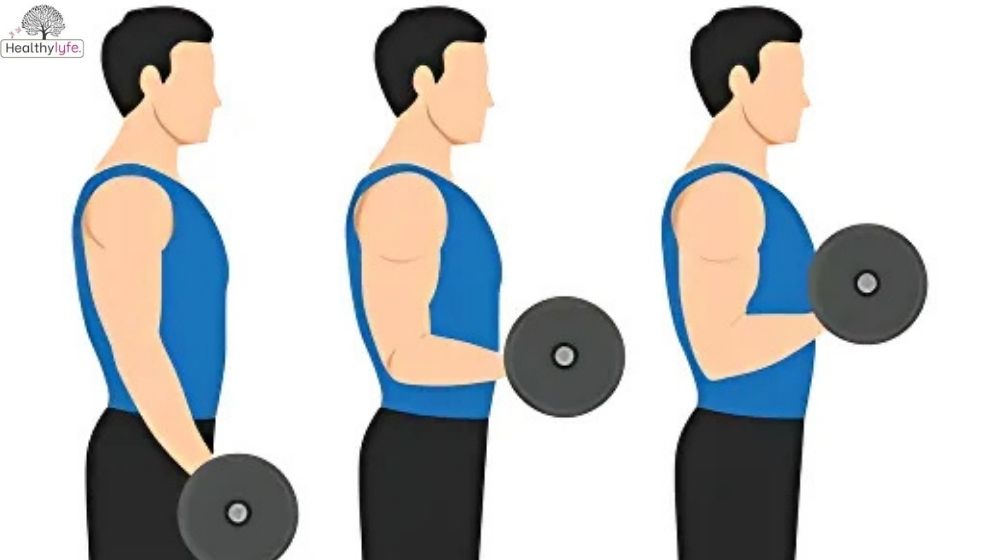 Hammer Curl: Best Exercise for Muscles and Arms