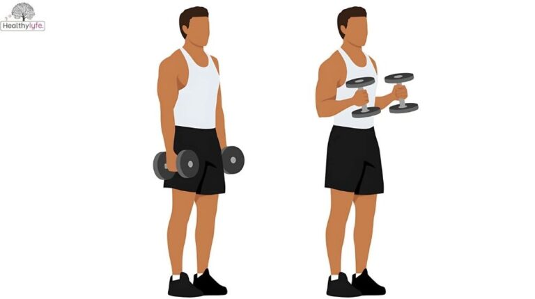 Hammer Curl: Best Exercise for Muscles and Arms