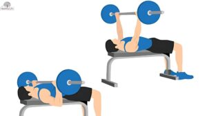 Flat Barbell Bench Press: Complete Guide for Muscle Growth