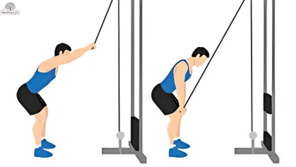 Lat Pulldown: Effective Exercise for Abs and Muscles