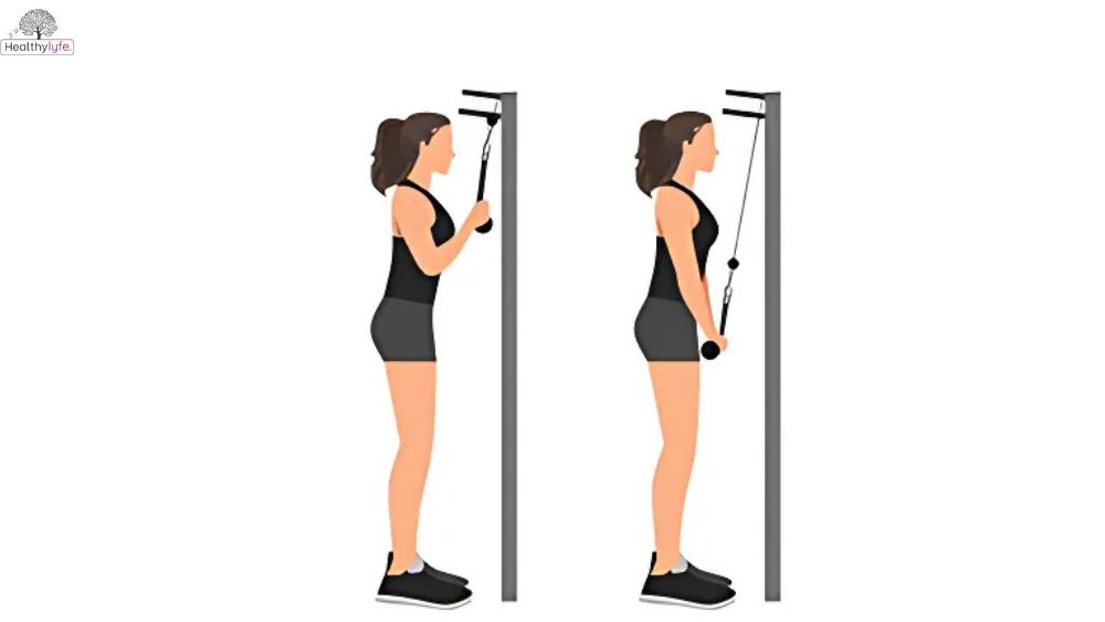 Pushdown Exercise: Benefits, Diet Plan, and Variations